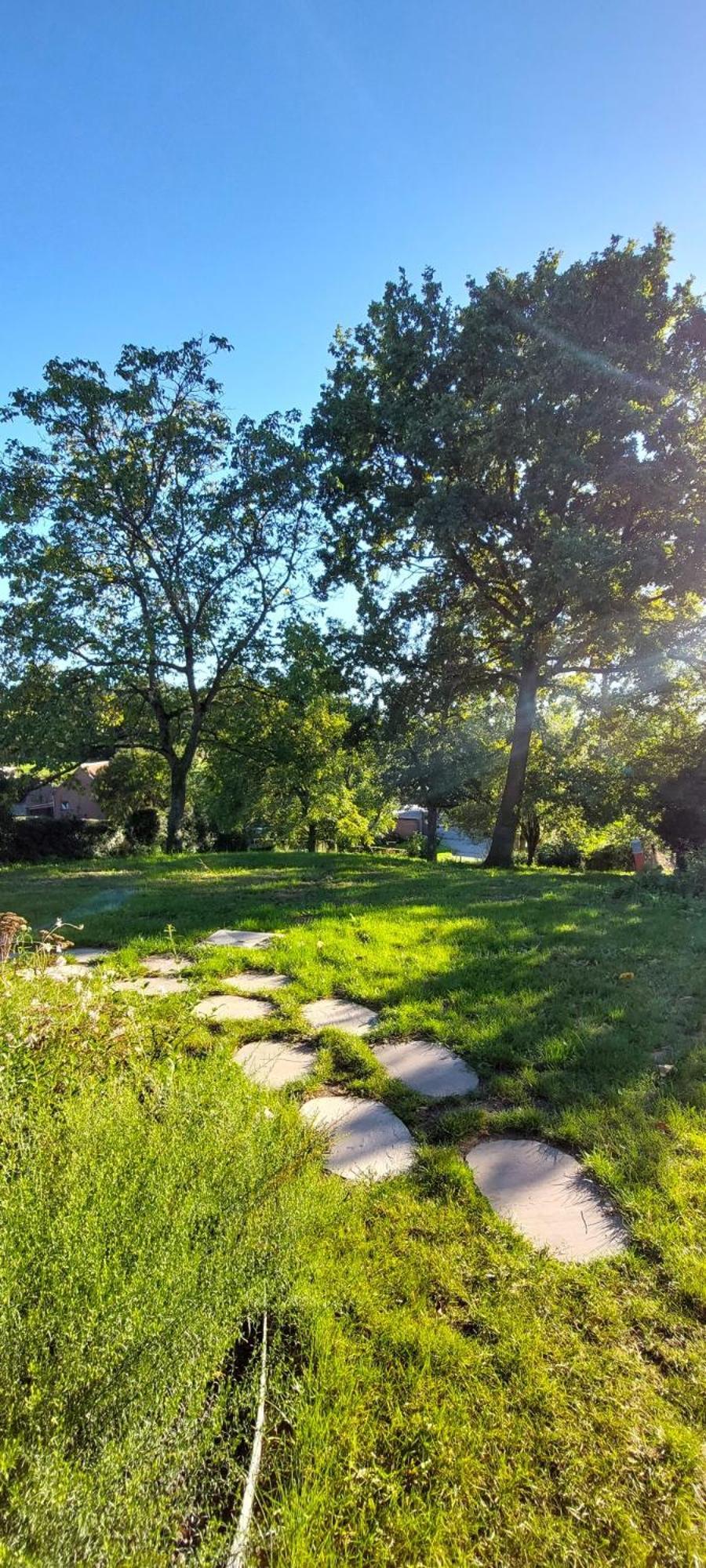 ビルゼン Boerderaaj Bed & Breakfast エクステリア 写真